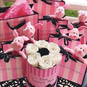 Victoria secret/ PINK VS mystery box